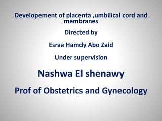 Developement of placenta ,umbilical cord and
membranes
Directed by
Esraa Hamdy Abo Zaid
Under supervision
Nashwa El shenawy
Prof of Obstetrics and Gynecology
 