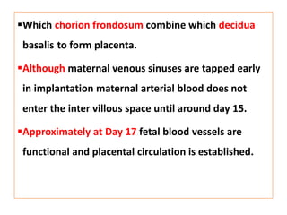 placenta%20MD.pptx