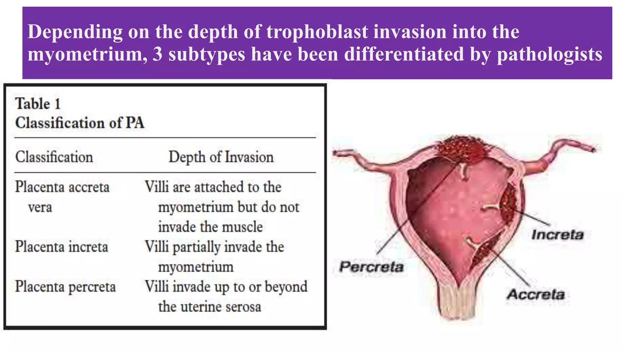 Depending on the depth of trophoblast invasion into the
myometrium, 3 subtypes have been differentiated by pathologists
 
