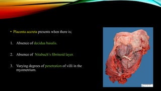 • Placenta accreta presents when there is;
1. Absence of decidua basalis.
2. Absence of Nitabuch’s fibrinoid layer.
3. Varying degrees of penetration of villi in the
myometrium.
 