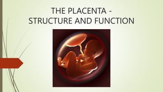 THE PLACENTA -
STRUCTURE AND FUNCTION
 