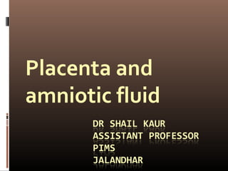Placenta and
amniotic fluid
 