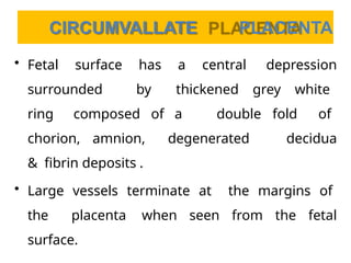 Placenta and Cord Abnormalities .pptx