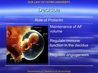 Decidua Regulate angiogenesis Regulate immune function in the decidua Maintenance of AF volume Role of Prolactin 