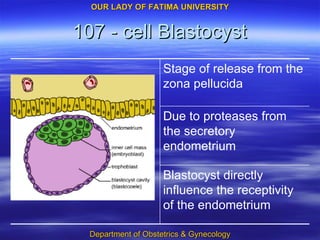 107 - cell Blastocyst Blastocyst directly influence the receptivity of the endometrium Due to proteases from the secretory endometrium Stage of release from the zona pellucida 