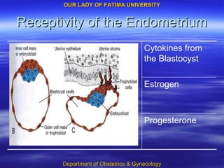Receptivity of the Endometrium Progesterone Estrogen Cytokines from the Blastocyst 
