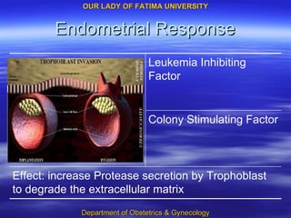 Endometrial Response Effect: increase Protease secretion by Trophoblast to degrade the extracellular matrix Colony Stimulating Factor Leukemia Inhibiting Factor 