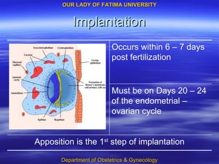 Implantation Must be on Days 20 – 24 of the endometrial – ovarian cycle Apposition is the 1 st  step of implantation Occurs within 6 – 7 days post fertilization 