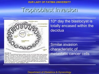 Trophoblast Invasion Similar invasion characteristic of metastatic cancer cells 10 th  day the blastocyst is totally encased within the decidua 