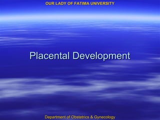 Placental Development 