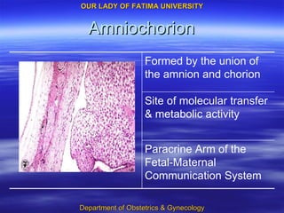 Amniochorion Paracrine Arm of the Fetal-Maternal Communication System Site of molecular transfer & metabolic activity Formed by the union of the amnion and chorion 