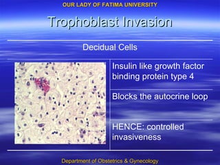 Trophoblast Invasion HENCE: controlled invasiveness Blocks the autocrine loop Insulin like growth factor binding protein type 4 Decidual Cells 