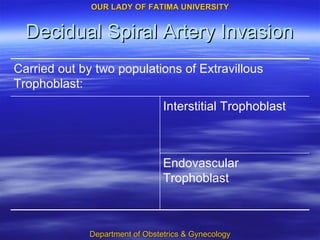 Decidual Spiral Artery Invasion Endovascular Trophoblast Interstitial Trophoblast Carried out by two populations of Extravillous Trophoblast: 