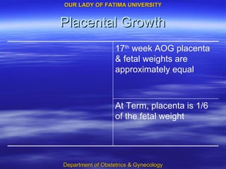 Placental Growth At Term, placenta is 1/6 of the fetal weight  17 th  week AOG placenta & fetal weights are approximately equal 