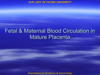 Fetal & Maternal Blood Circulation in Mature Placenta 