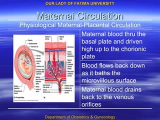 Maternal Circulation Maternal blood drains back to the venous orifices Blood flows back down as it baths the microvillous surface Maternal blood thru the basal plate and driven high up to the chorionic plate Physiological Maternal-Placental Circulation 