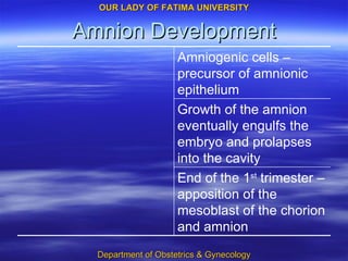 Amnion Development End of the 1 st  trimester – apposition of the mesoblast of the chorion and amnion Growth of the amnion eventually engulfs the embryo and prolapses into the cavity Amniogenic cells – precursor of amnionic epithelium 