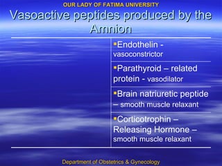 Vasoactive peptides produced by the Amnion Corticotrophin – Releasing Hormone –  smooth muscle relaxant Brain natriuretic peptide –  smooth muscle relaxant Parathyroid – related protein -  vasodilator   Endothelin -  vasoconstrictor 