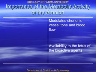 Importance of the Metabolic Activity of the Amnion Availability to the fetus of the bioactive agents Modulates chorionic vessel tone and blood flow 