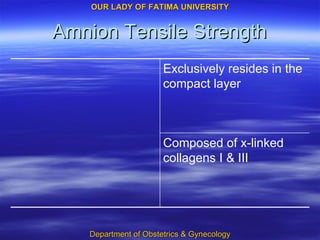 Amnion Tensile Strength Composed of x-linked collagens I & III Exclusively resides in the compact layer 