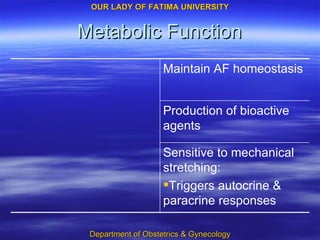 Metabolic Function Sensitive to mechanical stretching: Triggers autocrine & paracrine responses Production of bioactive agents Maintain AF homeostasis 