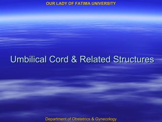 Umbilical Cord & Related Structures 