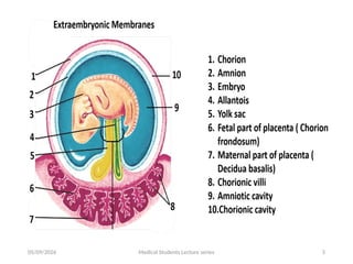Comprehensive Medical Lecture Series on Placenta and Fetal Membranes | PPTX