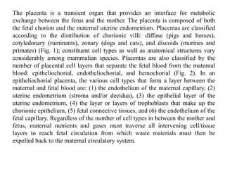 Comprehensive Overview of Placenta as a Unique Endocrine Organ in ...