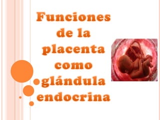 Funciones de la placenta como glándula endocrina 