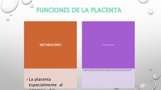 METABOLISMO
•La placenta
especialmente al
TRANSPORTE PLACENTARIO
• El transporte de sustancias en ambas direcciones entre la placenta y la sangre materna se facilita por la gran área de
superficie de la membrana placentaria casi todos los materiales se transportan a través de la membrana placentaria.
 