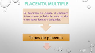Se denomina así cuando el embarazo
único la masa se halla formada por dos
o mas partes iguales o desiguales.
Tipos de placenta
 