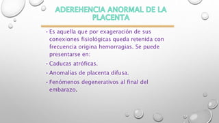 PLACENTA ADHERENTE
•Es aquella que por exageración de sus
conexiones fisiológicas queda retenida con
frecuencia origina hemorragias. Se puede
presentarse en:
•Caducas atróficas.
•Anomalías de placenta difusa.
•Fenómenos degenerativos al final del
embarazo.
 