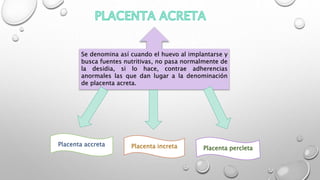 Se denomina así cuando el huevo al implantarse y
busca fuentes nutritivas, no pasa normalmente de
la desidia, si lo hace, contrae adherencias
anormales las que dan lugar a la denominación
de placenta acreta.
Placenta accreta
Placenta percletaPlacenta increta
 