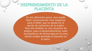 Es una alteración grave, que puede
tener consecuencias muy negativas
para el bebé, que se queda sin el
aporte de nutrientes de la madre.
Para ella también es una situación de
peligro, pues el desprendimiento suele
acompañarse de hemorragia en la zona
donde estaba asentada la placenta en
el útero.
 