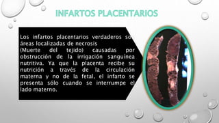 Los infartos placentarios verdaderos son
áreas localizadas de necrosis
(Muerte del tejido) causadas por
obstrucción de la irrigación sanguínea
nutritiva. Ya que la placenta recibe su
nutrición a través de la circulación
materna y no de la fetal, el infarto se
presenta sólo cuando se interrumpe el
lado materno.
 