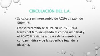 • Se calcula un intercambio de AGUA a razón de
500ml/h.
• Este intercambio se reliza en un 25-30% a
través del feto incluyendo al cordón umbilical y
el 70-75% restante a través de la membrana
corioamniótica y de la superficie fetal de la
placenta.
 