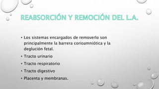 • Los sistemas encargados de removerlo son
principalmente la barrera corioamniótica y la
deglución fetal.
• Tracto urinario
• Tracto respiratorio
• Tracto digestivo
• Placenta y membranas.
 