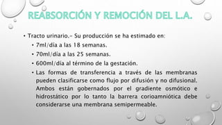 • Tracto urinario.- Su producción se ha estimado en:
• 7ml/día a las 18 semanas.
• 70ml/día a las 25 semanas.
• 600ml/día al término de la gestación.
• Las formas de transferencia a través de las membranas
pueden clasificarse como flujo por difusión y no difusional.
Ambos están gobernados por el gradiente osmótico e
hidrostático por lo tanto la barrera corioamniótica debe
considerarse una membrana semipermeable.
 
