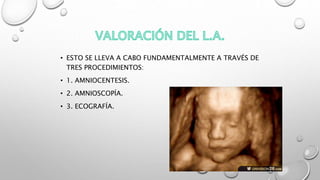 • ESTO SE LLEVA A CABO FUNDAMENTALMENTE A TRAVÉS DE
TRES PROCEDIMIENTOS:
• 1. AMNIOCENTESIS.
• 2. AMNIOSCOPÍA.
• 3. ECOGRAFÍA.
 