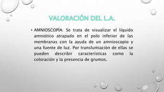 • AMNIOSCOPÍA: Se trata de visualizar el líquido
amniótico atrapado en el polo inferior de las
membranas con la ayuda de un amnioscopio y
una fuente de luz. Por translumiación de ellas se
pueden describir características como la
coloración y la presencia de grumos.
 