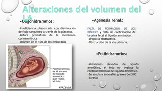 •Insuficiencia placentaria con disminución
de flujo sanguíneo a través de la placenta.
•Rotura prematura de la membrana
corioamniótica
•Ocurren en el 10% de los embarazos
•Volúmenes elevados de líquido
amniótico, el feto no deglute la
cantidad habitual de líquido amniótico.
•Se asocia a anomalías graves del SNC.
•Atresia
FALTA DE FORMACIÓN DE LOS
RIÑONES y falta de contribución de
la orina fetal al liquido amniótico.
•Uropatía obstructiva.
•Obstrucción de la vía urinaria.
•Oligohidramnios:
•Polihidramnios:
•Agenesia renal:
 