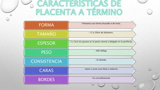 •Presenta una forma discoide o de torta.
FORMA
•15 a 20cm de diámetro.
TAMAÑO
•2 a 3cm (es grueso en la parte central y delgado en la periferia).
ESPESOR
•400-600gr.
PESO
•Es blando.
CONSISTENCIA
•tiene 2 caras cara fetal y materna.
CARAS
•Es circunferencial.
BORDES
 
