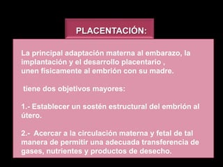 Comprehensive Overview of Placenta Structure, Function, and Hormonal ...
