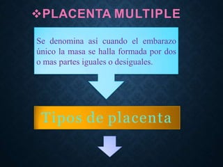 Comprehensive Overview of Placenta Structure, Function, and Hormonal ...