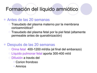 Formación del líquido amniótico Antes de las 20 semanas Trasudado del plasma materno por la membrana corioamniótica? Trasudado del plasma fetal por la piel fetal (altamente permeable antes de queratinización) Después de las 20 semanas Orina fetal   400-1200 ml/día (al final del embarazo) Líquido pulmonar fetal  aporta 300-400 ml/d Difusión  a través del Corion frondoso Amnios  