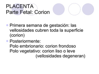 PLACENTA Parte Fetal: Corion Primera semana de gestación: las vellosidades cubren toda la superficie (corion) Posteriormente:  Polo embrionario: corion frondoso  Polo vegetativo: corion liso o leve  (vellosidades degeneran) 