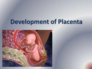Development of Placenta
 