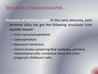 Structures of placenta contd…

Structure of terminal villus: In the early placenta, each
  terminal villus has got the fol...