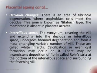 Placental ageing contd…
• Decidual changes: There is an area of fibrinoid
  degeneration, where trophoblast cells meet the...