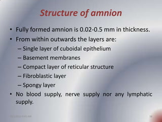 Structure of amnion
• Fully formed amnion is 0.02-0.5 mm in thickness.
• From within outwards the layers are:
   – Single ...